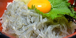 兵庫県