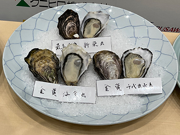 加熱部門シングルシード方式の受賞したカキ