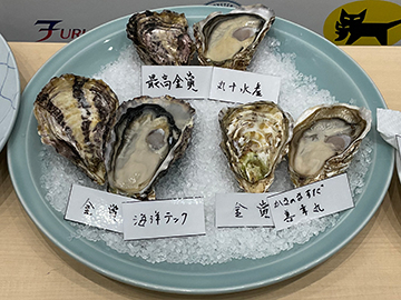 加熱部門カルチ方式の受賞したカキ