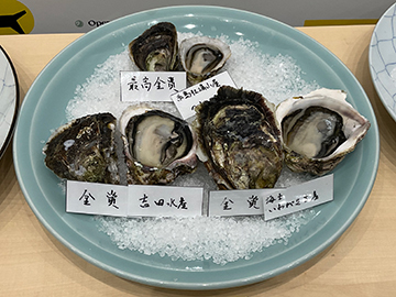 生食部門イワガキの受賞したカキ