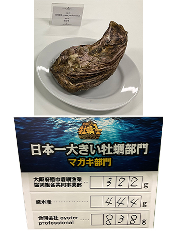 日本一大きいマガキ部門