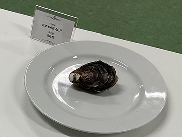 日本一美しいカキ部門：井関水産（右上）