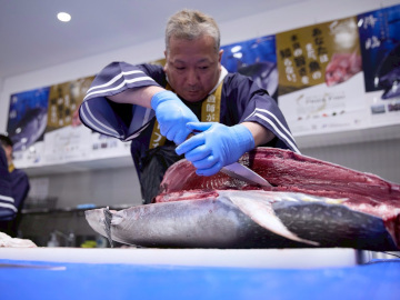 マグロ解体ショーの様子