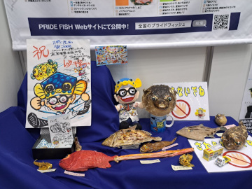 さかなクン自作の魚のはく製を展示