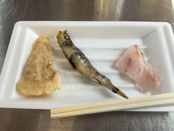 試食のアンコウ唐揚げとメヒカリ丸干し、ヒラメ刺身（左から）